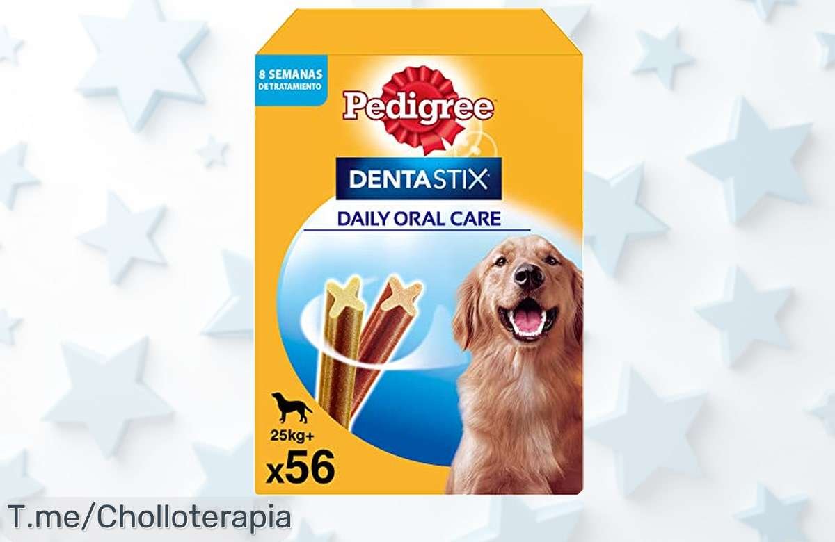 Descubre el ofertón de Pedigree Dentastix para perros grandes y cuida sus dientes mientras lo mimas con un snack saludable. ¡Aprovecha este precio loco y compra ya!