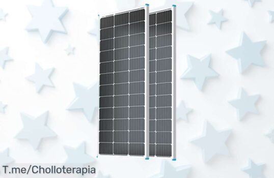 Descubre el super chollo de 2 Placas Solares Renogy: energía limpia y fácil instalación para tu hogar o camping, ¡aprovecha este ofertón antes que se agoten!