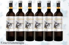 Descubre el super chollo del vino: 6 Botellas de Bodega Cuatro Rayas Tempranillo Orgánico, un festín para tus sentidos ¡Aprovecha este ofertón limitado ya!