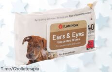 Descubre las toallitas Flamingo Reini para ojos y oídos, ¡un super chollo de 40 unidades! Limpieza suave y fácil que dejará a tu mascota radiante ¡Compra ahora antes de que se agoten!