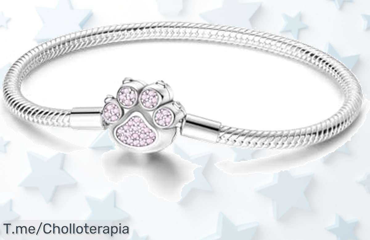 Despierta magia en tu muñeca con la pulsera de plata 925, un super chollo que regalas amor y estilo. ¡Atrapa este ofertón antes de que se esfume!