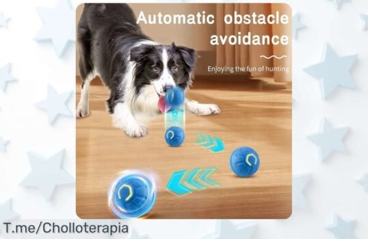 Haz feliz a tu mascota con la pelota inteligente que se mueve sola y rebota, ¡super chollo! Diversión garantizada por tiempo limitado ¡Compra ahora antes de que se acabe!