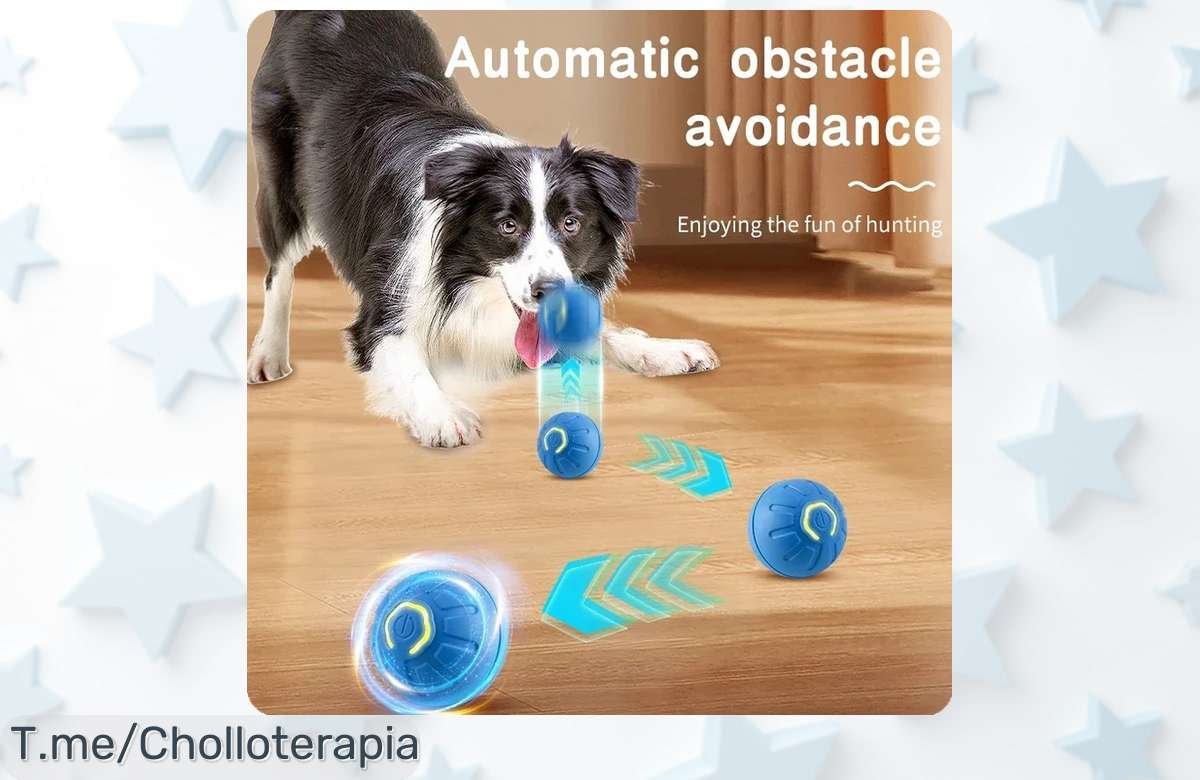 Haz feliz a tu mascota con la pelota inteligente que se mueve sola y rebota, ¡super chollo! Diversión garantizada por tiempo limitado. ¡Compra ahora antes de que se acabe!