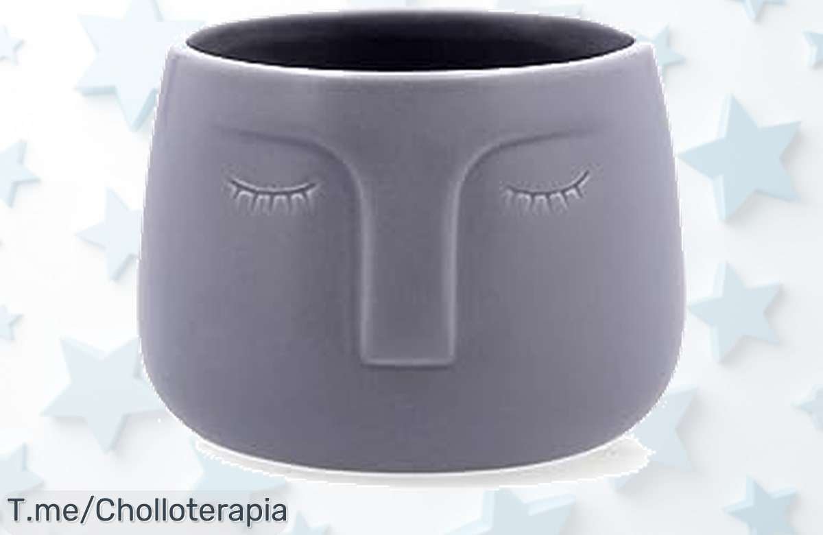 Haz que tu hogar brille con el macetero Vinthera Moa en gris, un diseño cerámico único y sorprendente para tus plantas. ¡Aprovecha este super chollo antes de que se acabe!