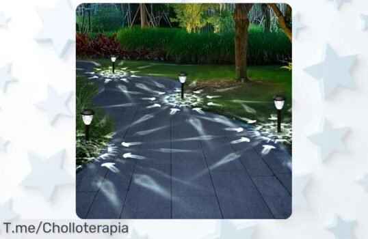 Ilumina tu jardín con este ofertón: 8 luces solares brillantes que se encienden solas y resisten cualquier clima Aprovecha el precio loco antes de que se acabe la oferta limitada