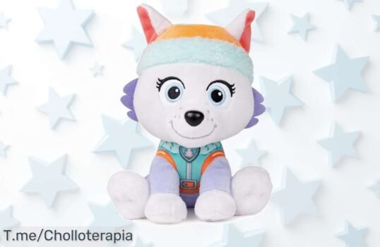 Lleva a casa el peluche Everest de Patrulla Canina, un super chollo de 15 cm que garantiza abrazos y aventuras ¡Compra ahora porque esta oferta nunca se repetirá!