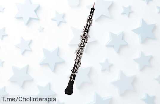 Oboe C Key con sonido increíble a precio loco: ¡brilla en orquestas y cine! Oferta única que no puedes dejar pasar, hazlo tuyo antes de que se agote