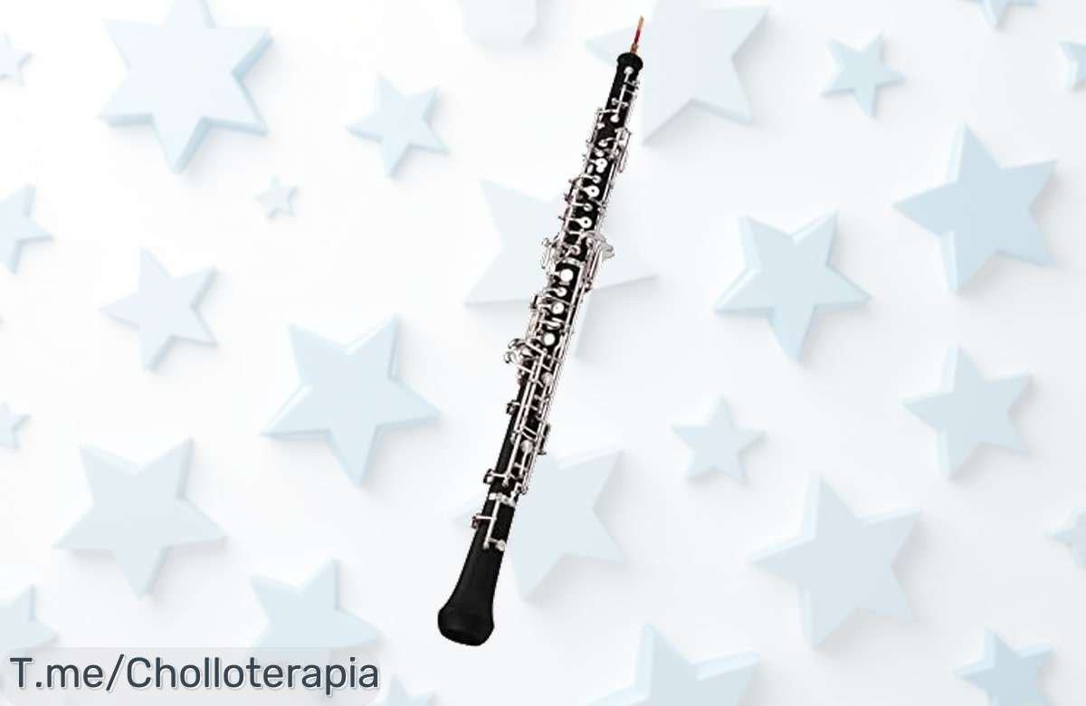 Oboe C Key con sonido increíble a precio loco: ¡brilla en orquestas y cine! Oferta única que no puedes dejar pasar, hazlo tuyo antes de que se agote.