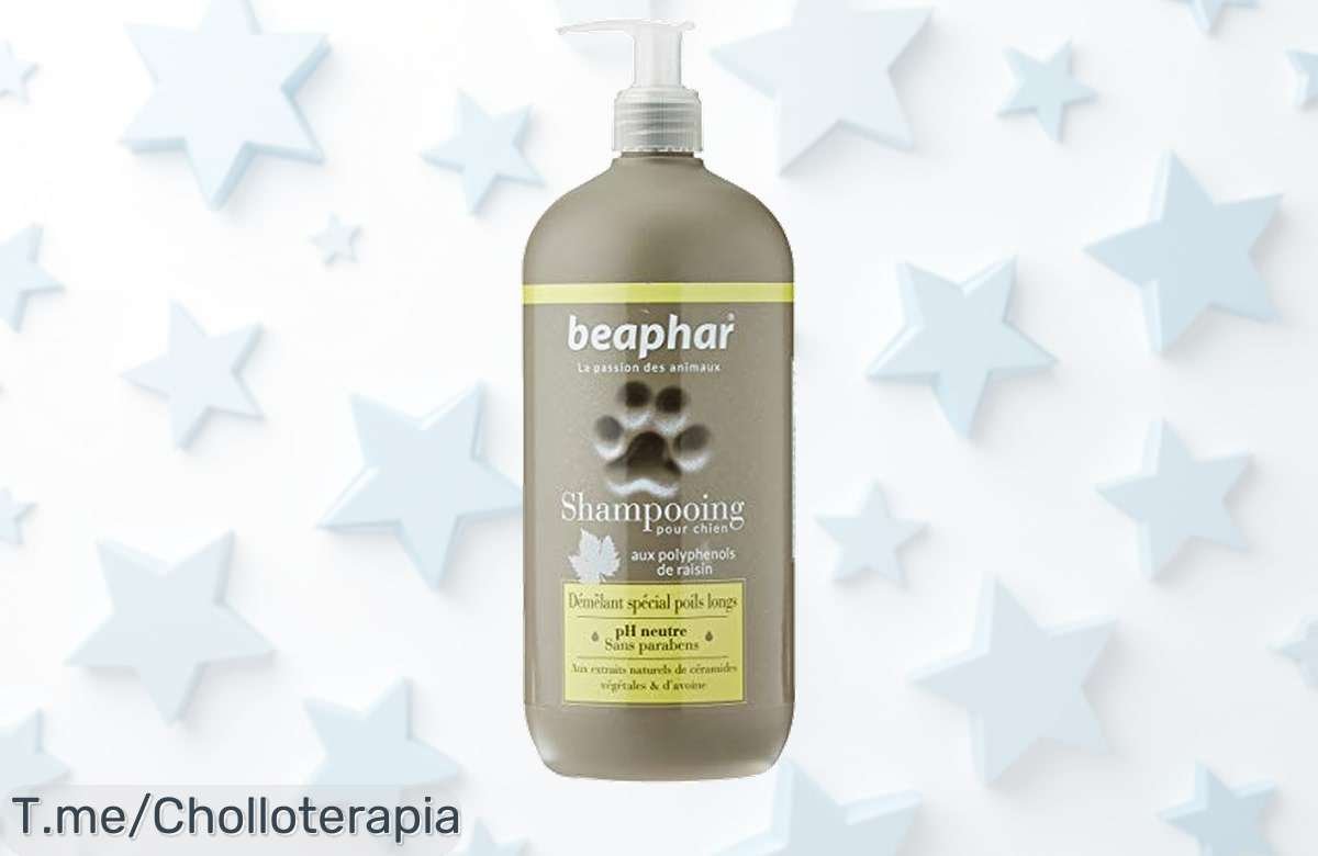 Transforma el baño de tu perro en diversión pura con Beaphar Champú Desenredante, brillo garantizado y oferta limitada que no puedes dejar pasar. ¡Compra ya este super chollo!
