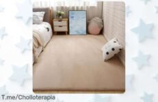 Transforma tu hogar con nuestra alfombra grande y moderna a un precio loco que hará que todos digan wow ¡Aprovecha este ofertón único antes de que se acabe!