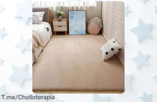 Transforma tu hogar con nuestra alfombra grande y moderna a un precio loco que hará que todos digan wow ¡Aprovecha este ofertón único antes de que se acabe!