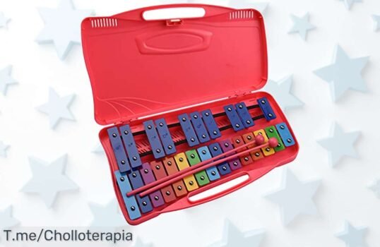 Consigue el increíble Xilófono de Aluminio con dos mallets y funda a un precio loco, ¡ofertón único para hacer música en casa! Apresúrate, ¡stock limitado!