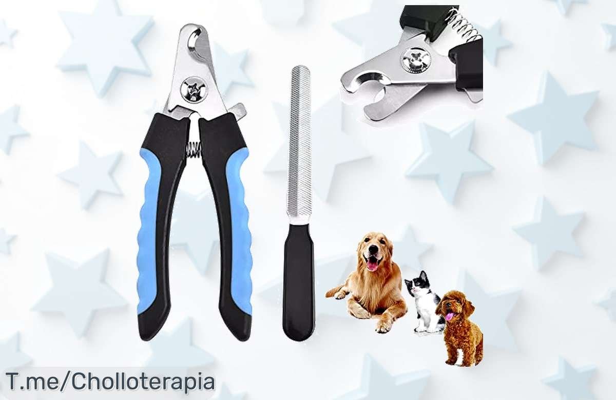 Corta las uñas de tu mascota como un pro con ONLYNDS® y olvídate de arañazos en muebles, ¡aprovecha este ofertón limitado y cuida a tu peludo antes que se acabe!