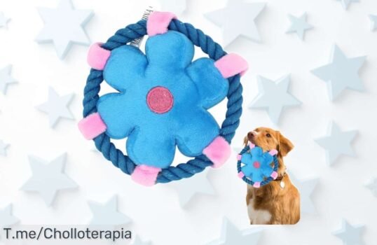 Descubre el juguete indestructible para perros con diversión y salud dental ¡Super chollo que no puedes dejar pasar! Actúa ahora antes de que se agoten