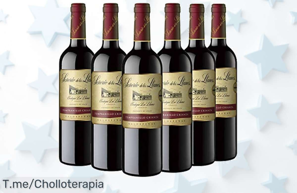 Descubre el precio loco del Señorío de los Llanos Crianza: 6 botellas con sabor a fruta y vainilla que harán vibrar tu paladar. ¡No te quedes sin este ofertón!
