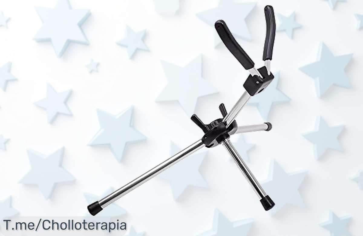 Descubre el soporte plegable para saxofón en un precio loco, cuida tu instrumento como un profesional y llévatelo ya antes de que se agote esta oferta única y nunca vista.