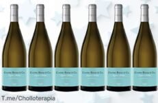 Descubre el super chollo del momento: 6 botellas de vino blanco Verdejo a un precio loco ¡No te pierdas este ofertón, compra ya antes que se agoten!