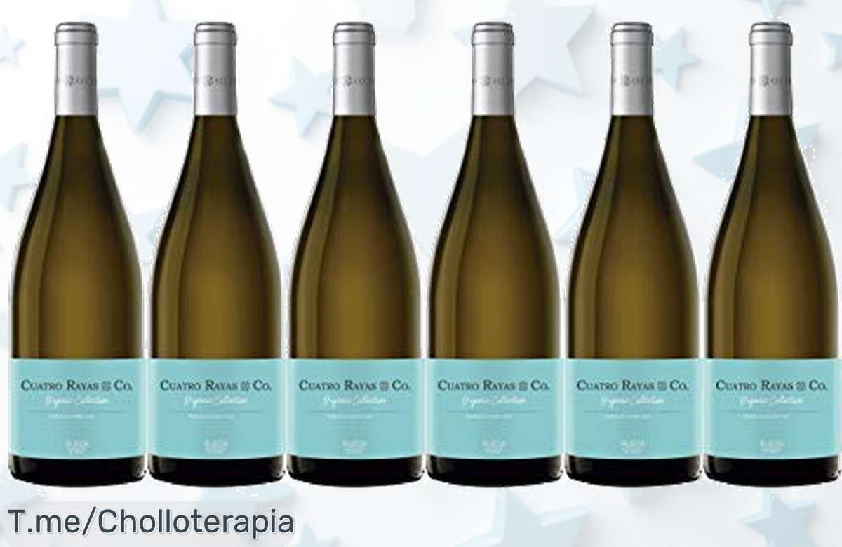 Descubre el super chollo del momento: 6 botellas de vino blanco Verdejo a un precio loco. ¡No te pierdas este ofertón, compra ya antes que se agoten!