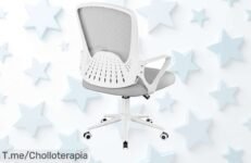Descubre la silla de oficina más espectacular con diseño ergonómico y soporte lumbar único, ¡un super chollo que transforma tu trabajo en felicidad! Aprovecha ahora esta oferta limitada antes de que se acabe