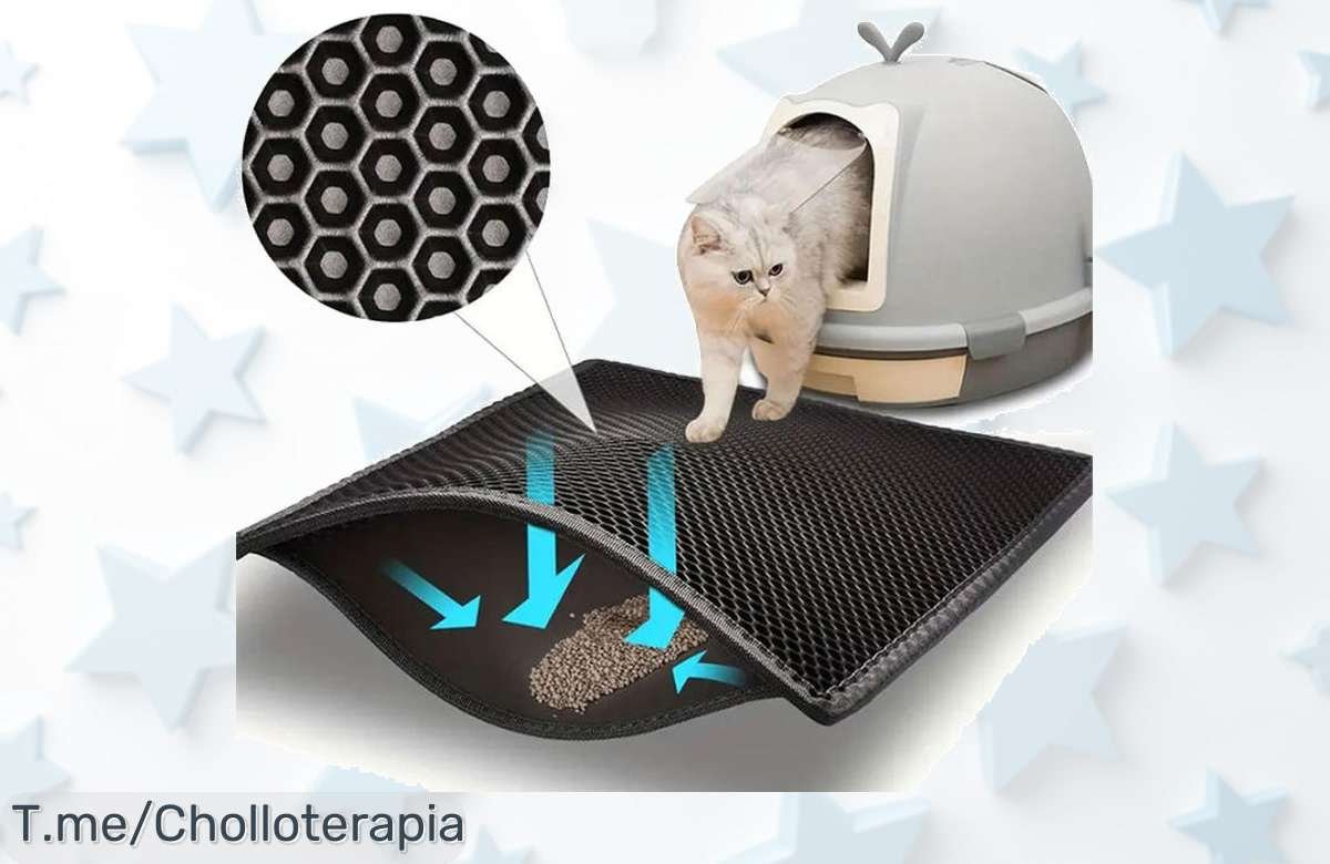 Manta Para Gatos Impermeable: El Super Chollo Que Necesitas Para Mantener Tu Casa Limpia, Recoge Fango y Lodo Sin Problemas. ¡Compra Ahora Antes De Que Se Agote!