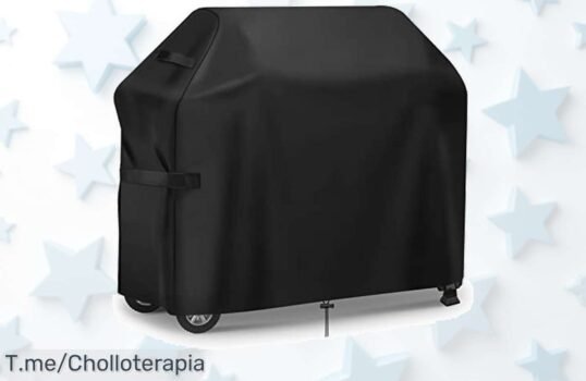 Protege tu barbacoa con la funda impermeable GARPROVM a un precio loco ¡Aprovecha el descuentazo por tiempo limitado y haz clic ahora antes que se agote!