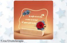 Regala amor con la luz nocturna acrílica rosa eterna: crea un ambiente mágico y sorprende a esa persona especial con este ofertón único, no te quedes sin el tuyo ahora mismo