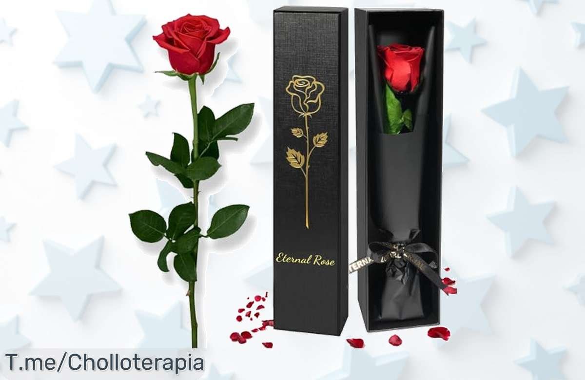 Regala amor eterno con nuestras rosas preservadas, belleza que dura hasta 5 años a un precio loco. No dejes pasar este ofertón y sorprende hoy mismo. ¡Haz tu pedido ya!