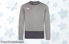 Sudadera PUMA teamGOAL para niños a precio loco: ¡entrenamiento al máximo y estilo único! Haz que brille en cada juego ¡No esperes, compra ya antes de agotar stock!