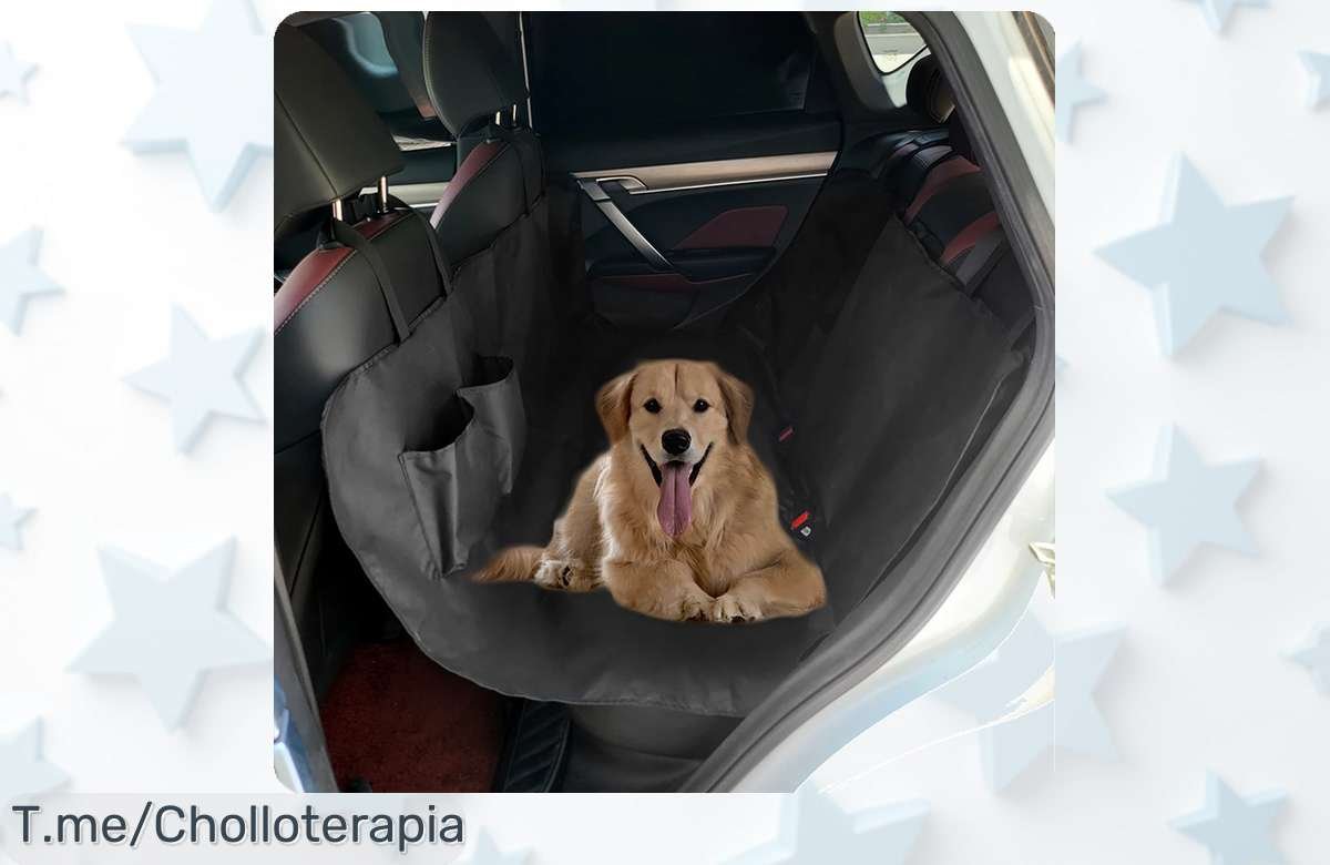 Transforma cada viaje con tu perro en una aventura increíble gracias a nuestra funda de asiento impermeable, ¡un super chollo que protege tu auto! No esperes más y adquiere este ofertón antes de que se acabe.