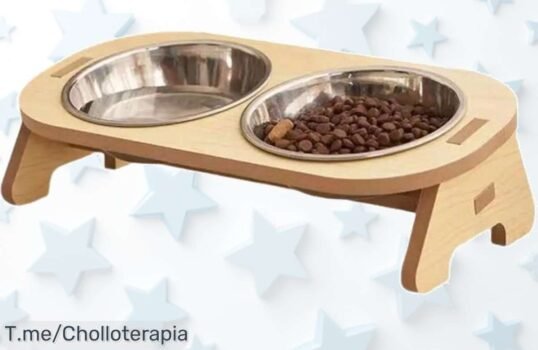 Transforma la hora de comida de tus mascotas con tazas elevadas y ajustables Disfruta un super chollo que ellos merecen, oferta limitada ¡Compra ya!