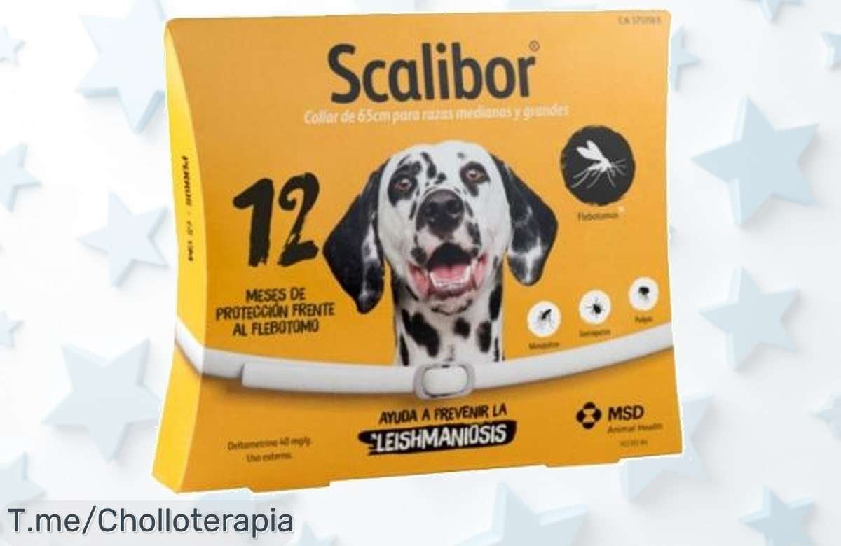 Transforma los paseos de tu perro con el collar espectacular de 65 cm que atrae todas las miradas, super chollo limitado ¡Compra ya y deslumbra a todos!