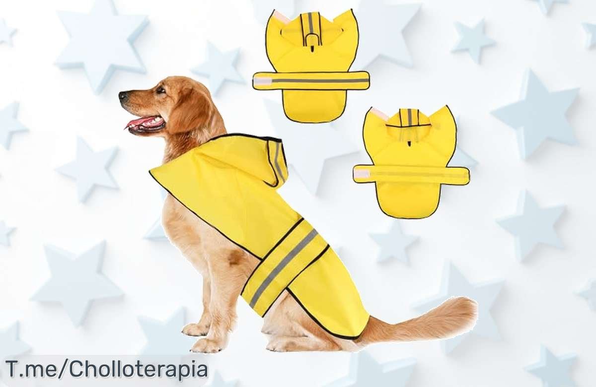 Chubasquero Impermeable Para Perros A Precio Loco – Ajustable Y Reflectante, La Protección Que Merece Tu Mejor Amigo. ¡Consíguelo Ya Antes De Que Se Agote!