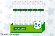 Consigue el desodorante spray Palmolive Tacto Puro 24h en un pack de 6 y despídete de las manchas blancas con este ofertón único ¡Actúa ya antes que se agote!