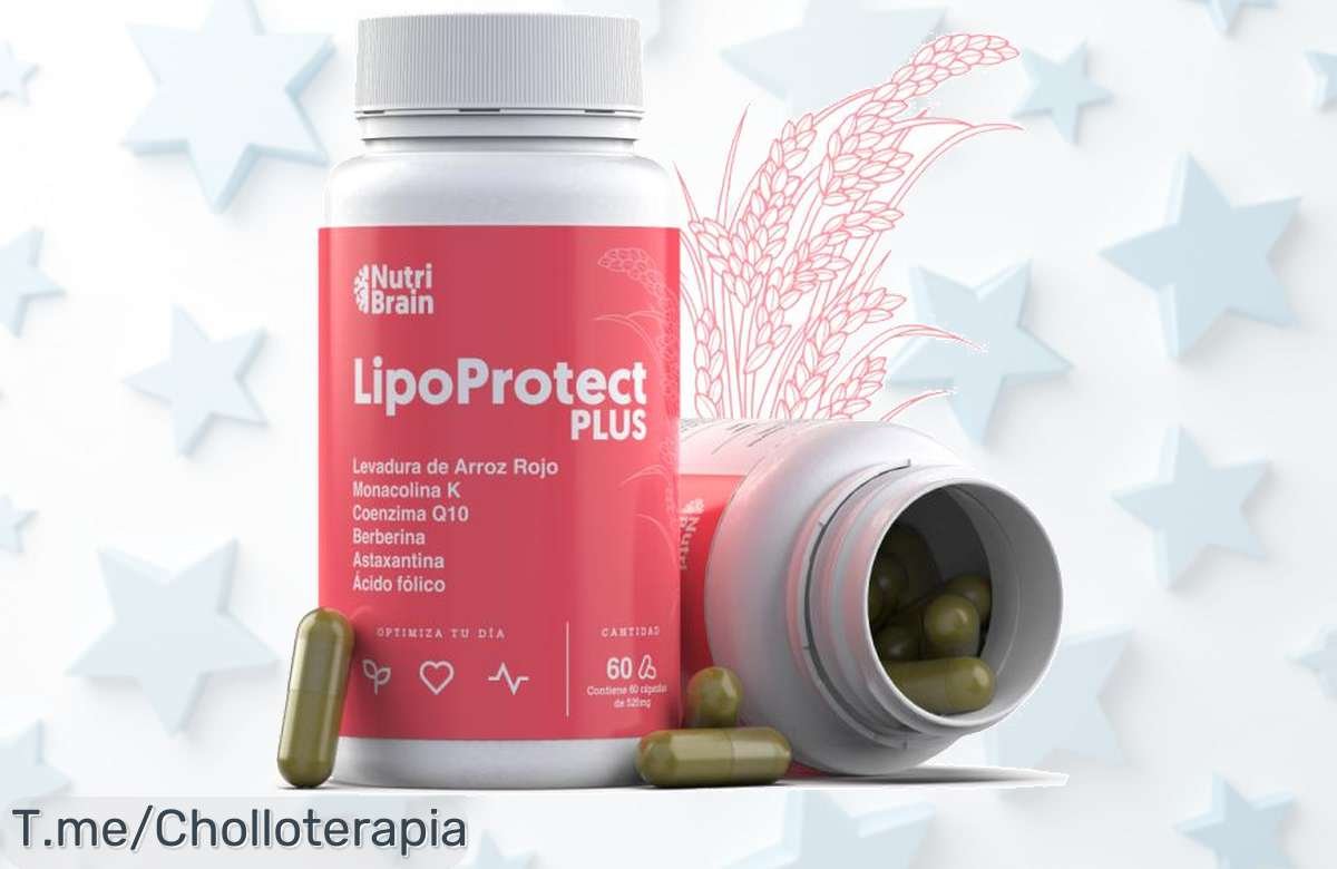 Descubre el super chollo de LIPO-Protect PLUS: 60 cápsulas para regular tu colesterol y triglicéridos, ¡mejora tu salud hoy con este ofertón único! Aprovecha ya esta oferta limitada.