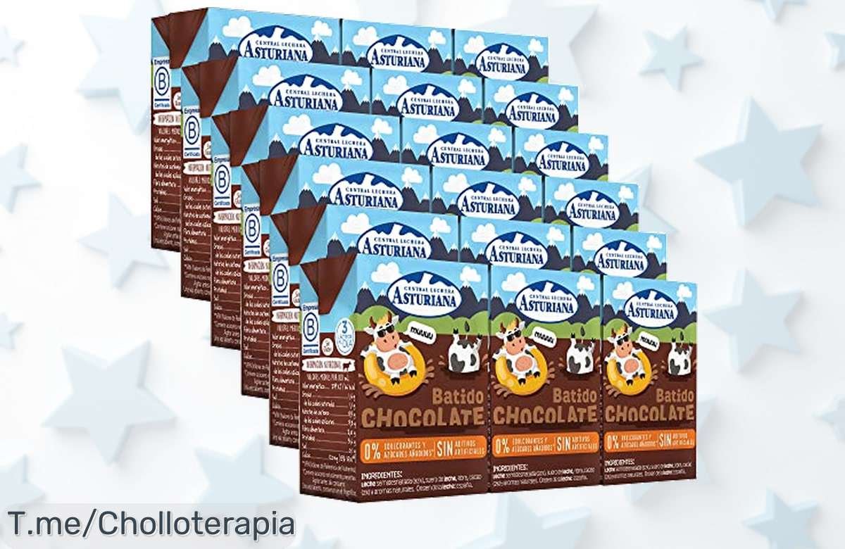 Descubre el súper chollo del batido de chocolate: 18 bricks llenos de sabor y vitaminas para disfrutar sin azúcares. ¡Aprovecha este ofertón antes que se agote!