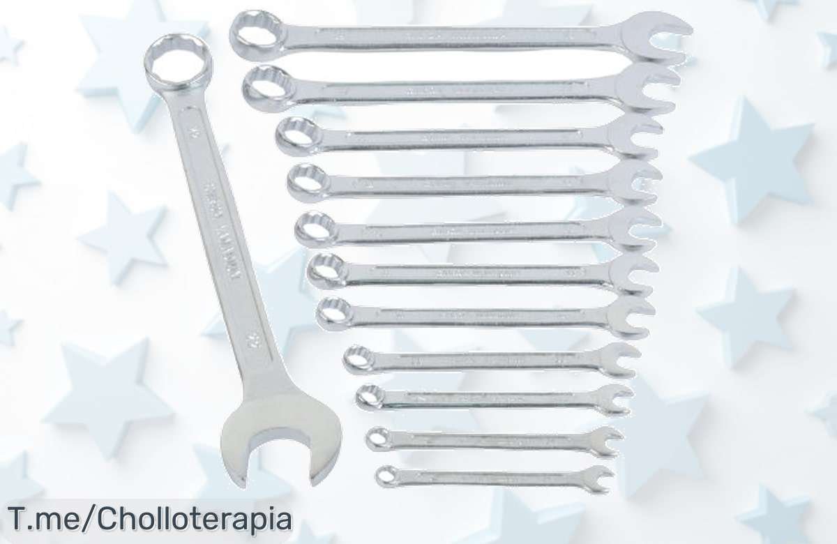 ¡Descubre el super chollo del juego de llaves Mannesmann! 12 piezas ultra resistentes para cualquier trabajo. ¡No te quedes sin este ofertón y compra ya antes que se agoten!
