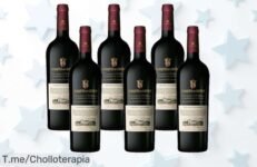 Descubre el super chollo del momento: 6 botellas de Marques de Griñon Cabernet Sauvignon, un vino espectacular que hará vibrar tu paladar ¡Compra ya antes de que se agote!