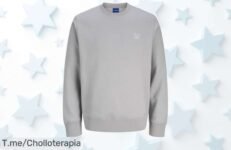 Descubre la sudadera Jack & Jones, con un diseño único y grosor de 270 grs ¡Llévala a precio loco antes de que volen! Aprovecha este super chollo ahora mismo