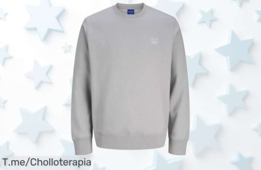 Descubre la sudadera Jack & Jones, con un diseño único y grosor de 270 grs ¡Llévala a precio loco antes de que volen! Aprovecha este super chollo ahora mismo