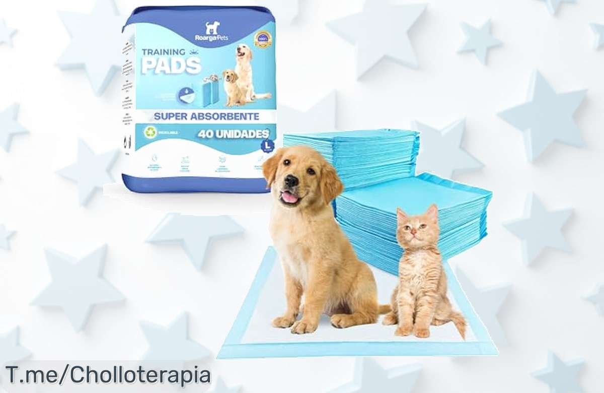 Dile adiós a los malos olores con nuestra oferta única de empapadores para perros: 40 unidades a un precio loco que tu mascota y tu hogar te agradecerán. ¡Compra ya antes de que se acaben!