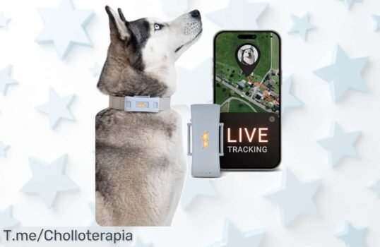Localizador GPS para perros: ¡Sigue a tu amigo peludo en tiempo real y evita sorpresas! Ofertón limitado, no dejes pasar este super chollo antes que se agote Actúa ya