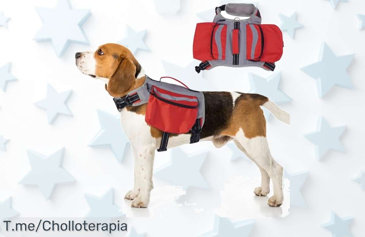 Mochila para perro con diseño reflectante y espacio gigante, ¡ofertón único que asegura aventuras nocturnas! Agarra la tuya ya antes de que se agoten.