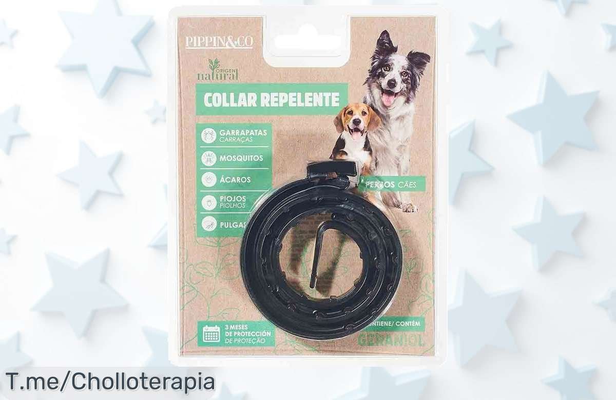 Protege a tu gato con el collar repelente de mosquitos y pulgas: ¡ofertón único que no puedes dejar pasar! Cuidado total para tu peludo, compra ya y disfruta un verano sin preocupaciones.