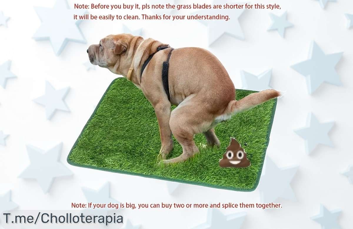 Transforma a tu perro en un experto en hacer pis con nuestra almohadilla de césped artificial, fácil de limpiar y sin olores. ¡Aprovecha esta oferta increíble antes que se acabe!