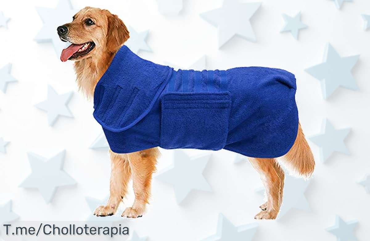 Transforma la rutina de tu peludo con la toalla microfibra Geyecete: ¡absorción brutal y limpieza instantánea a un precio loco! No te quedes sin ella, compra ya antes de que se agote.