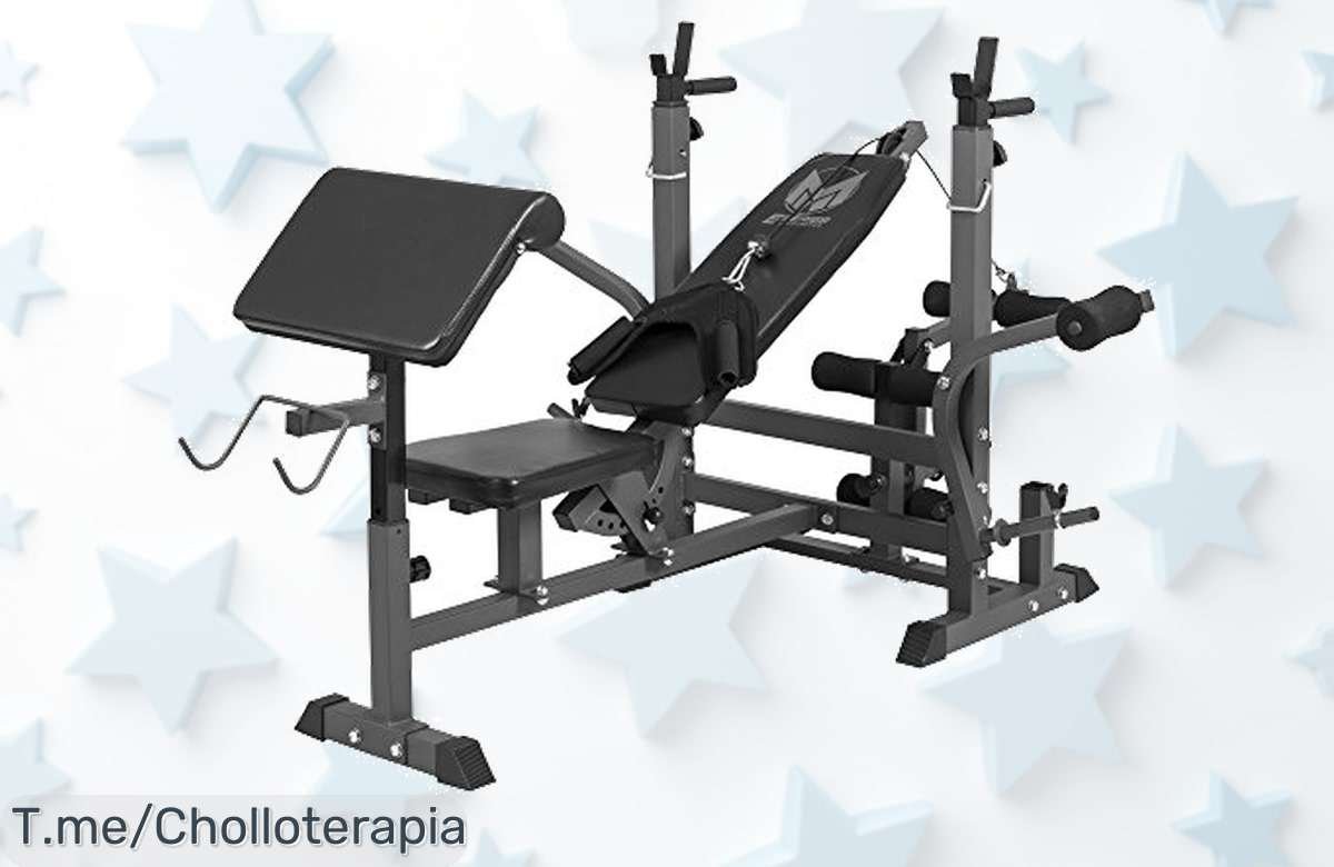 Transforma tu hogar en un gimnasio con el Banco Fuerza ESeries: respaldo ajustable, soporte de 280 kg y diseño que ahorra espacio. ¡Oferta única antes de que se agote!