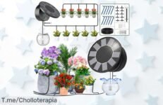 Transforma tu jardín con el super chollo del Sistema de Riego Solar TRJZWA, 9 programas para tus plantas y manguera de 15m ¡Consigue tu descuentazo antes que se agote!