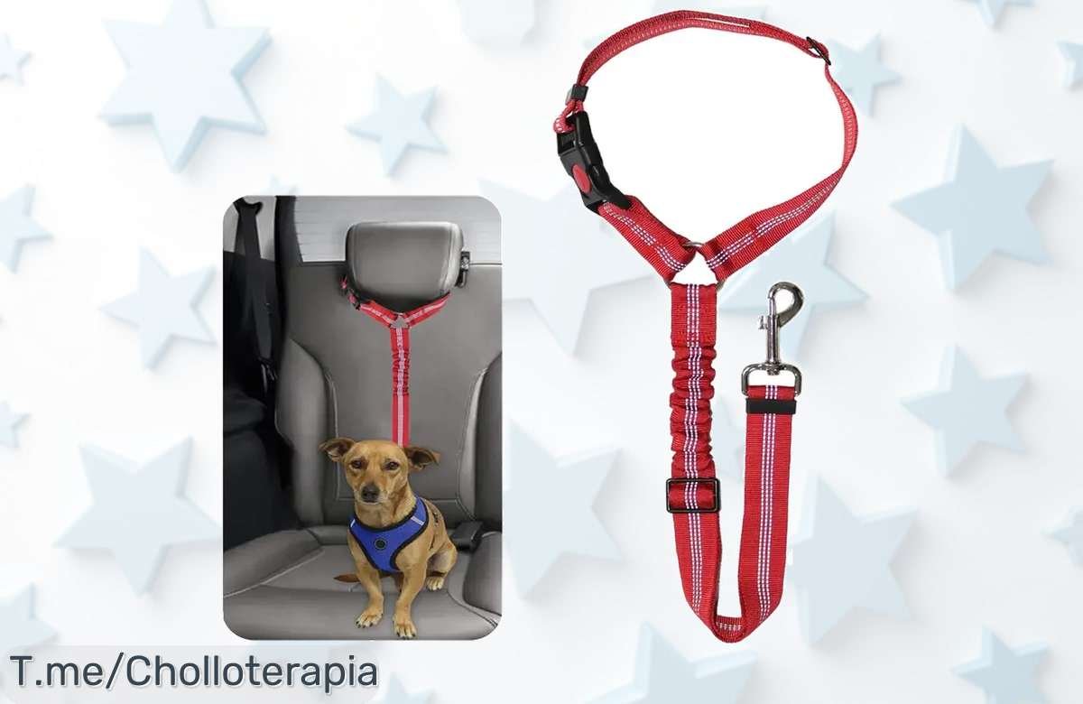 Cinturón Reflectante Para Tu Mascota: Seguridad En Cada Paseo A Un Precio Loco, ¡No Te Quedes Sin El Tuyo! Actúa Rápido, Oferta Limitada Y Nunca Vista.