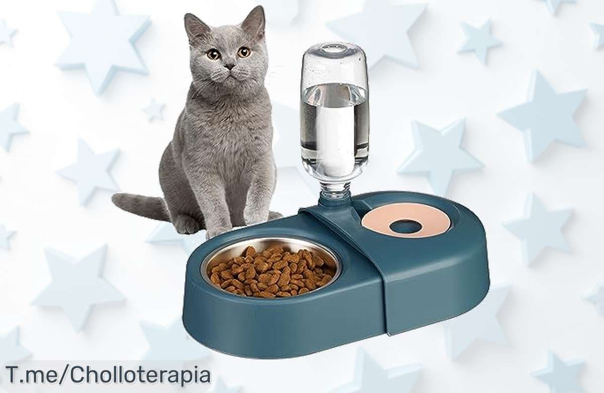 Dale a tu peludo el ofertón del Comedero y Dispensador de Agua todo en uno: comida siempre fresca y agua al instante. ¡Aprovecha este precio loco antes que se agote!