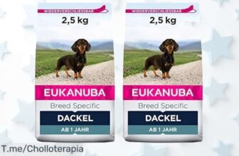Dale a tu teckel la energía que necesita con Eukanuba, formato especial 2 x 25 kg a precio loco, ¡ofertón limitado para su felicidad y salud! Compra ya antes de que se acabe